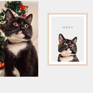 Custom pet portrait listin, Watercolour Pet Painting, Digital Painted from Photo